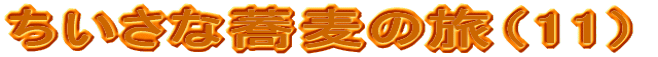 ȋ̗i11j