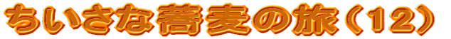 ȋ̗i12j