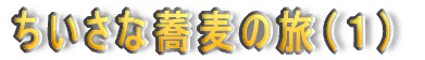 ȋ̗iPj