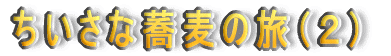 ȋ̗iQj