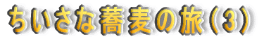 ȋ̗i3j