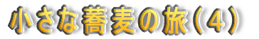 ȋ̗iSj