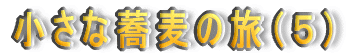 ȋ̗iTj