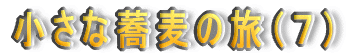 ȋ̗iVj