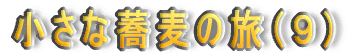 ȋ̗iXj