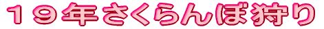 PXNڎ