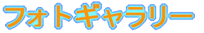 tHgM[