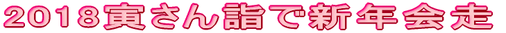 2017FYN