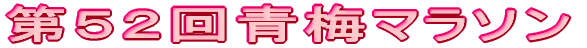 第52回青梅マラソン
