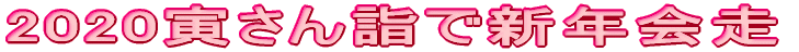 2020ЂwŐVN