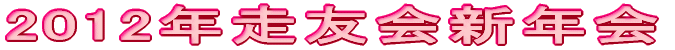2012NFVN