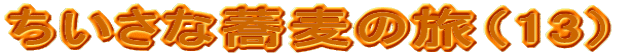 ȋ̗i13j