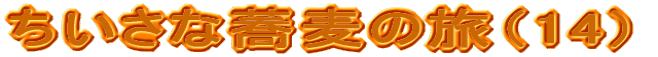 ȋ̗i14j