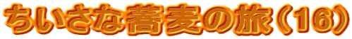 ȋ̗i16j