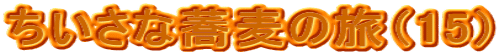 ȋ̗i15j