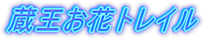 蔵王お花トレイル