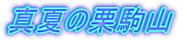 ^Ă̌IR
